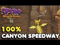 Spyro 2: Ripto's Rage (Reignited) 100% - \