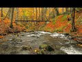 Autumn River Sounds - Relaxing Nature Video - Sleep/ Relax/ Study - 9 Hours - HD 1080p