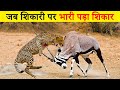 शिकार करने में फ़ैल हुए खूंखार शिकारी - 10 Moments When Predators Failed