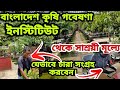 কমদামে ১নাম্বার চারা কিনুন BARI থেকে |Collect plant from Bangladesh Agricultural Research Institute