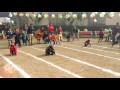 Frog Race