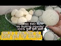 इडली बनाने का ये तरीका आज से पहले नहीं देखा होगा | Soft \u0026 Spongy Idli Recipe | Idli Batter Recipe