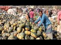 বিখ্যাত সবজির হাট বগুড়ার মহাস্থান। Famous Vegetable Bazar Mahasthan hat in Bangladesh। Rk haat bazar