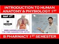 Introduction to Human Anatomy and physiology 1st || HAP 1st || B Pharmacy 1st sem ||Carewell Pharma