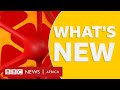 BBC Africa: Eating insects and feeding the world plus more - BBC What's New