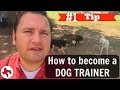 How to become a DOG TRAINER | #1 Tip Adam's advice