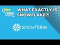 What Is Snowflake??? Please Tell Us!