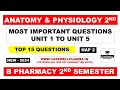 Hap 2nd semester important questions || human anatomy and physiology 2nd semester || Carewell Pharma