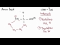 Amino Acids 10:  Structures Part 6