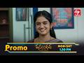 Vasundara Latest Promo | Episode No 231 | 24th February 2026 | ETV Telugu