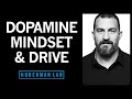 Controlling Your Dopamine For Motivation, Focus \u0026 Satisfaction