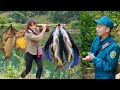 FULL VIDEO: 17-year-old single mother uses ancient tools to trap giant fish. Cooking with the police