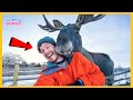 When Animals Surprise Humans in the Craziest Ways 🤪Funny Animal and Human Videos 2026