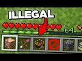 Why I'm Collecting Every Illegal Item in This Minecraft SMP