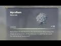 Enshrouded - Where to get Mycelium