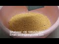 6FT PB8 Lentil Splitting Machine soyabean chickpea yellow pea peeling and splitting machine