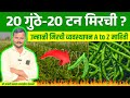 अर्धा एकरात 20 टनाचे टार्गेट  | मिरची पीक व्यवस्थापन | Chili Farming Information | Mirchi Lagwad