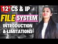 File System and its limitations | Database Management | Class 12 CS \u0026 IP
