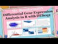 Differential Gene Expression Analysis in R with DESeq2 | Bioinformatics for Beginners