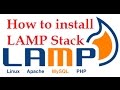 How To Install Linux, Apache, MySQL, PHP (LAMP) stack on Ubuntu using Single command