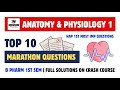 Hap 1st - Top 10 Marathon Questions | Hap 1st semester important questions | Carewell Pharma