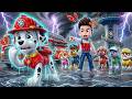 ¿Qué hizo mal MARSHALL? ¿Los traiciona? ¡Una verdad impactante! | PAw PAtrol en Español