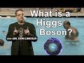 What is a Higgs Boson?