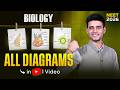 Master ALL Biology Diagrams in ONE Video! 🩺 NEET 2026 | Munish Dhull Sir