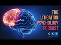 The Litigation Psychology Podcast #165 - Myths and Truths about Traumatic Brain Injuries (TBI)