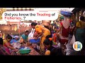 Sassoon Docks - A place where biggest auction of Mumbai helds | Documentary | USP