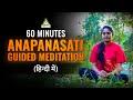 60 Minutes Anapanasati Guided Meditation in Hindi | Deep Relaxation Meditation | PMC Hindi