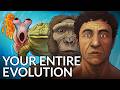 What Did Humans Evolve From?