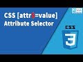 CSS [attr$=value] selector
