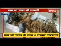 Jagdalpur में Tiger की खाल के साथ 8 Smuggler Arrest। 5 पुलिसकर्मी, 2 Health Worker संलिप्त। देखिए