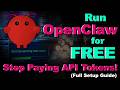 Run OpenClaw for FREE – Stop Paying API Tokens! (Full Setup Guide)| How to Use OpenClaw for FREE API