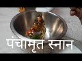 ।। पंचामृत स्नान और श्रृंगार कैसे करें लड्डू गोपाल जी को कैसे तैयार करें ।।