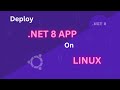 How to Deploy a .NET 8 app with MS SQL Database on Linux (Ubuntu 22)