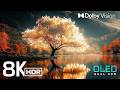 UNBELIEVABLE VISUALS | 8K HDR Dolby Vision™ (120FPS | OLED/QLED TV)