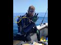 St. Augustine offshore diving, Navy Drydock! PB lionfish and like diving in an fish tank