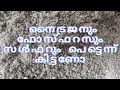 ചെടികൾ കരുത്തോടെ വളരണമെങ്കിൽ ഇത് അൽപം ചേർക്കാം
