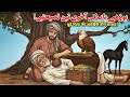 Sultan Ke 3 Ajeeb Imtihan | Aqal Aur Qismat Ka Faisla | Sabaq Amoz Kahani