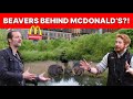 The Baby Beavers Rewilding London Behind a McDonald's