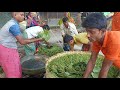 Betel Leaf/ Misti Pan Packing in Jhenidah, Bangladesh.