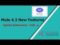 Mule 4.3 New Features | Update Operator in Dataweave Part - 1
