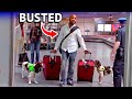 Airport Sniffer Dogs EXPOSE Every Dr*g Smuggler!