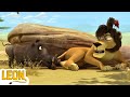 Leon The Lion | Fun With Wacky Friends | Funny Animal Cartoon