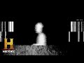 4 HORRIFYING STRANGE CREATURES *CAUGHT ON CAMERA* | The Proof Is Out There | History