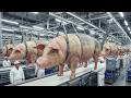 How Pork Fat Is Made and Processed | Farm to Factory Full Journey