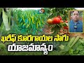 ఖరీఫ్ కూరగాయల సాగు యాజమాన్యం | Vegetable Crops In Kharif | Matti Manishi | 10TV Agri