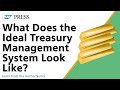 What Does the Ideal Treasury Management System Look Like?